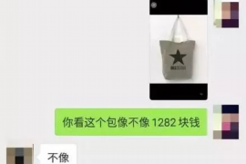 临邑专业讨债公司有哪些核心服务？